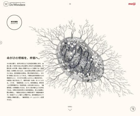 Do Wonders ｜ 株式会社 明治