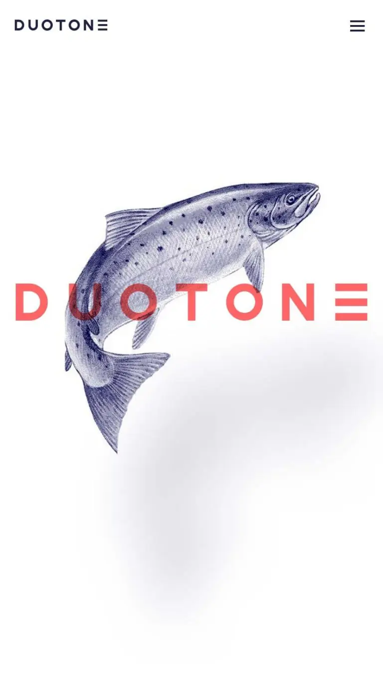 Duotone - for the next wave