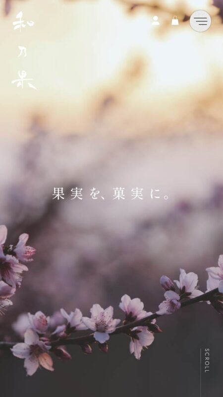 山梨果実菓子 和乃果 | WANOCA