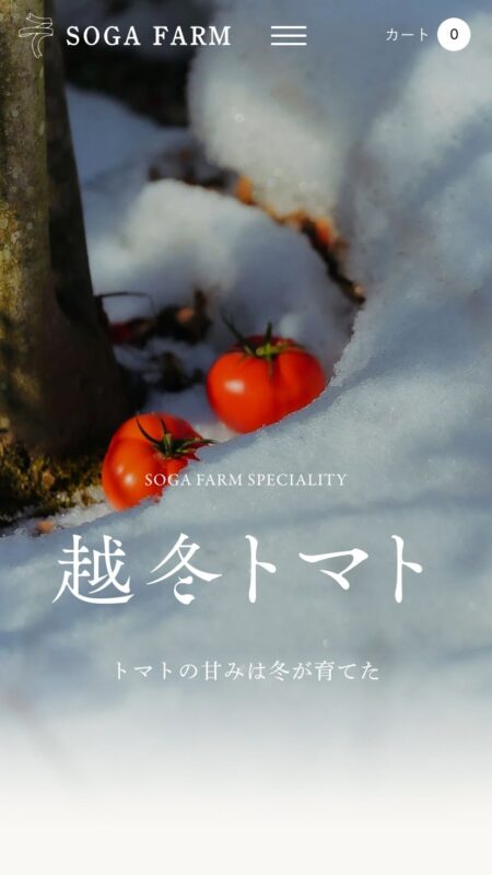 フルーツトマト専門農家 | 曽我農園の通販・オンラインショップ