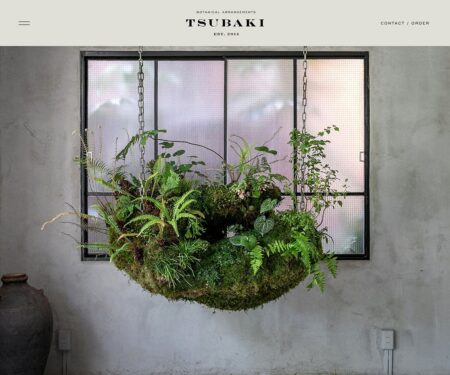 BOTANICAL ARRANGEMENTS TSUBAKI