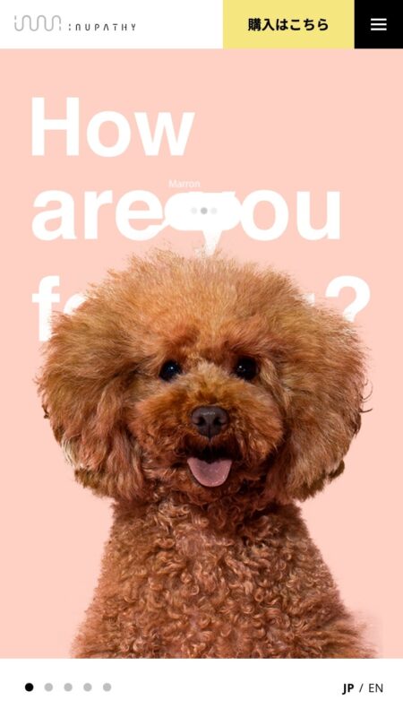 イヌパシー | 愛犬の気持ちを心拍から読み解く