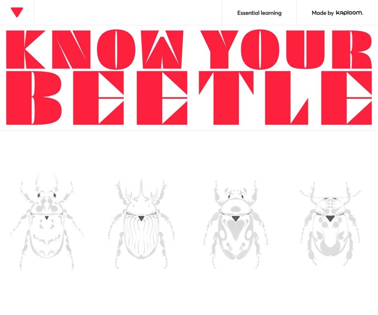 Know Your Beetle by Kaploom