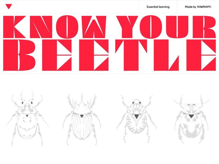 Know Your Beetle by Kaploom