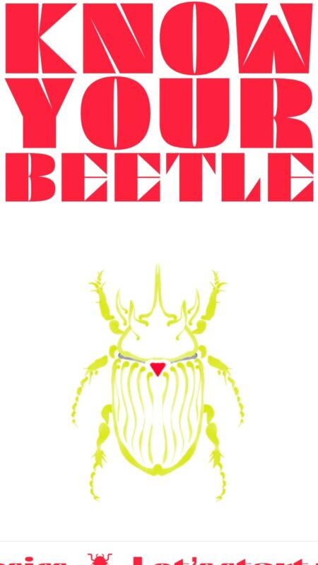 Know Your Beetle by Kaploom