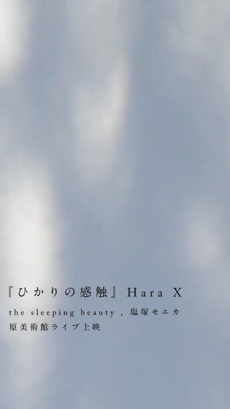 『ひかりの感触』Hara X the sleeping beauty , 塩塚モエカ | 原美術館ライブ上映