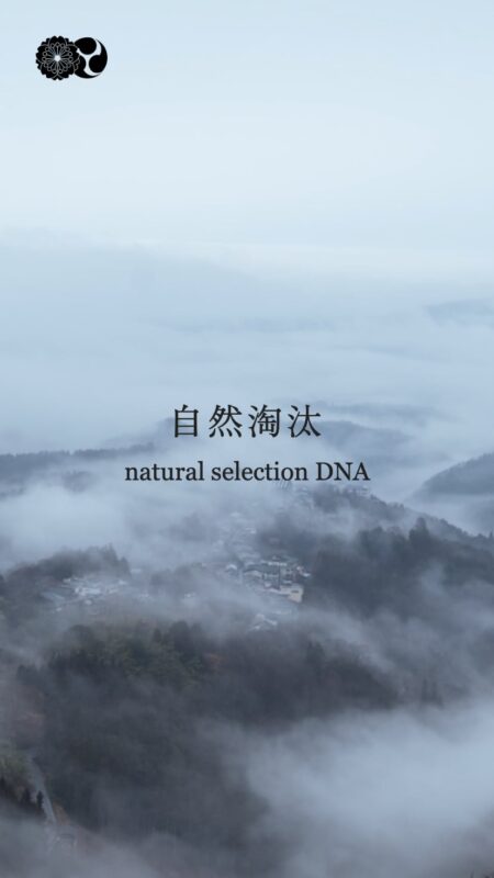自然淘汰｜美吉野醸造